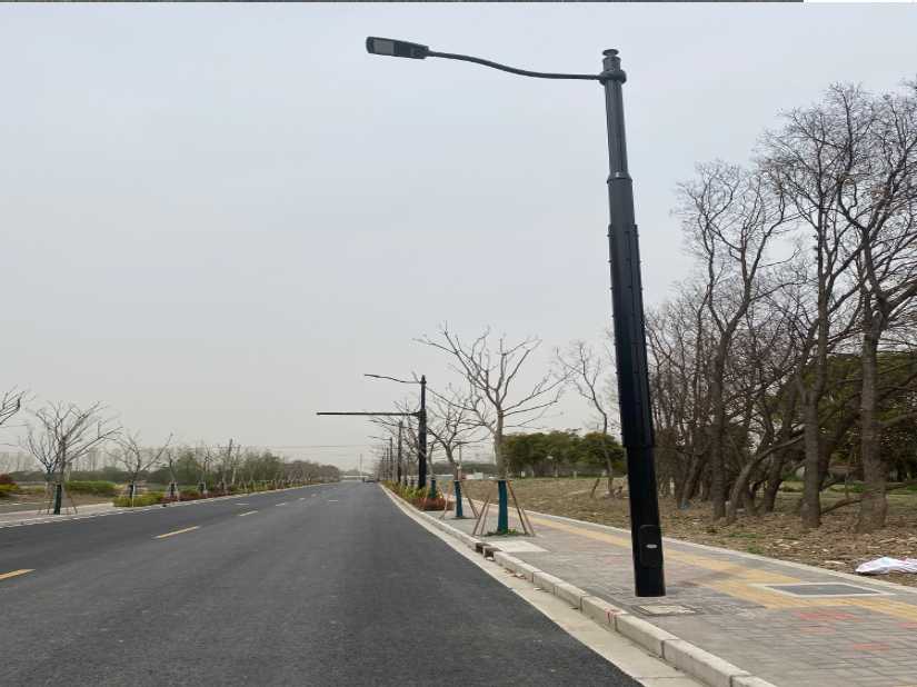 剑阁县上海综合杆 太阳能路灯工程